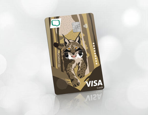 Karta Visa Business Gold